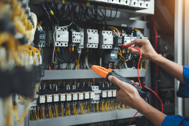 Best Electric Panel Repair  in Crewe, VA